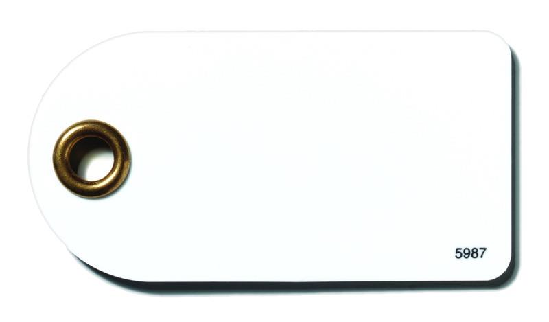 Leuze TFM 03 5125.220 Transponder Turkey