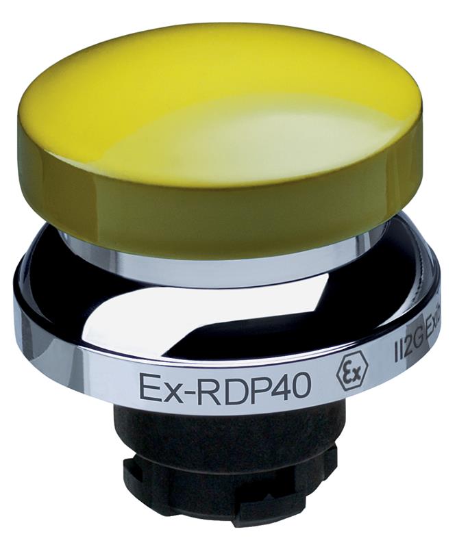 Schmersal EX-RDP40GB Turkey