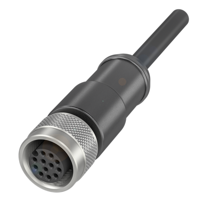 Balluff BCC M41C-0000-1A-169-PS0C25-300-C009 Single-ended cordsets Turkey