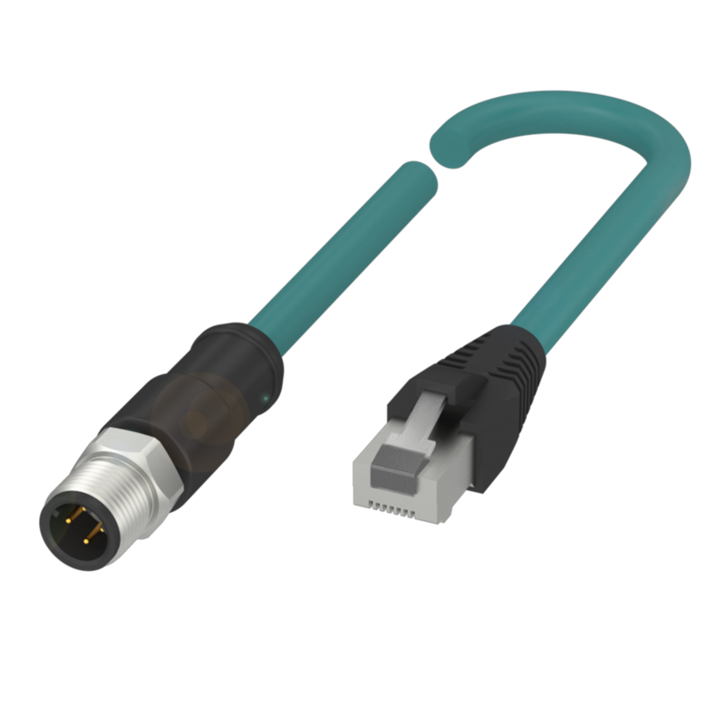 Balluff BCC S4B4-E894-8G-672-ES64N9-010-C009 Double-ended cordsets Turkey