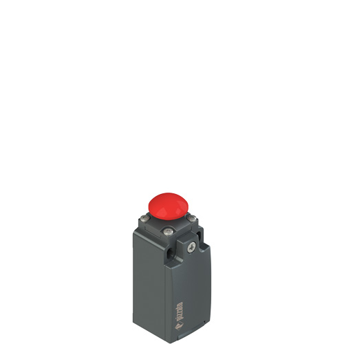 Pizzato FM 514-M2 Position switch with mushroom head plunger Turkey