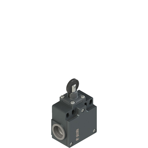 Pizzato FZ 516-M2 Position switch with roller and stainless steel piston plunger Turkey