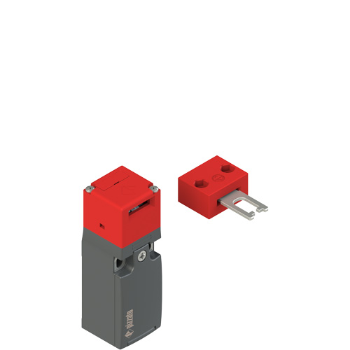 Pizzato FR 593-D2M2 Safety switch with separate actuator Turkey