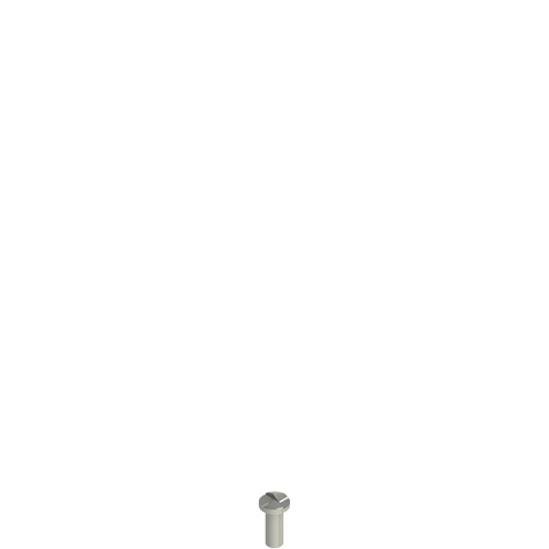 Pizzato VF VAM4X10BW-X Stainless steel security screws Turkey