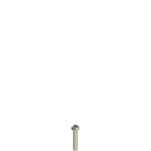 Pizzato VF VAM4X20BX-X Stainless steel security screws Turkey
