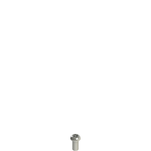 Pizzato VF VAM5X10BX-X Stainless steel security screws Turkey