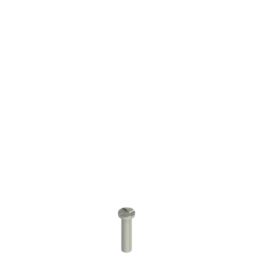 Pizzato VF VAM5X20BW-X Stainless steel security screws Turkey