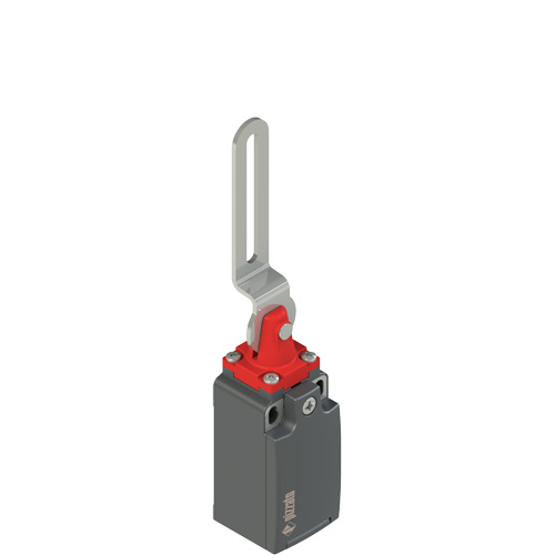 Pizzato FR 5C2-M2 Safety switch with slotted hole lever Turkey