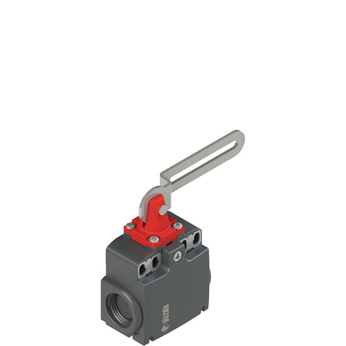 Pizzato FX 5C1-M2 Safety switch with slotted hole lever Turkey