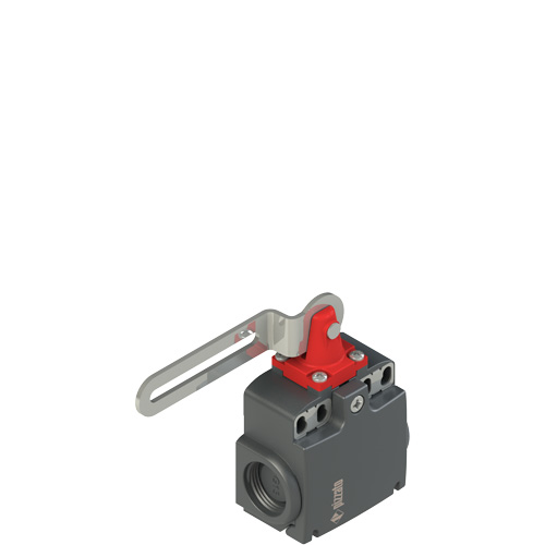 Pizzato FX 5C3-M2 Safety switch with slotted hole lever Turkey