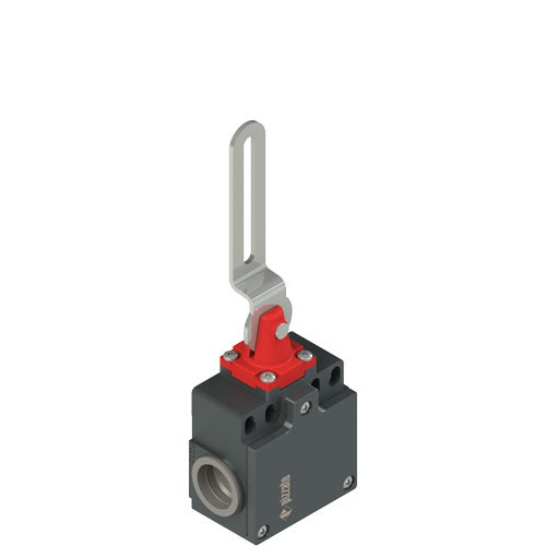 Pizzato FZ 5C2-M2 Safety switch with slotted hole lever Turkey