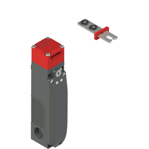 Pizzato FY 60AD1D0A-F22 FY series safety switch with separate actuator with lock Turkey
