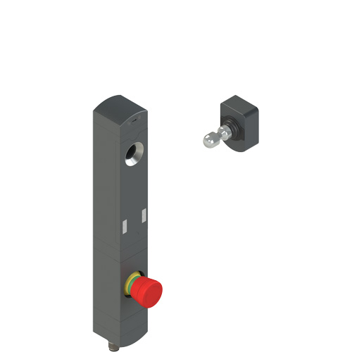Pizzato NS D4AZ1SRK-F41N110 NS series safety switch with lock and integrated control devices, with actuator Turkey