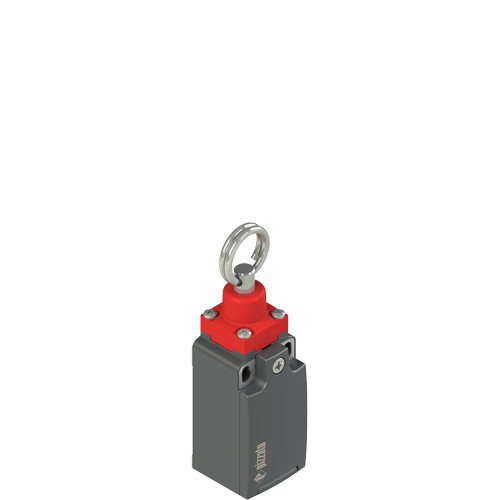 Pizzato FR 874-M2 Rope safety switch without reset for simple stop Turkey