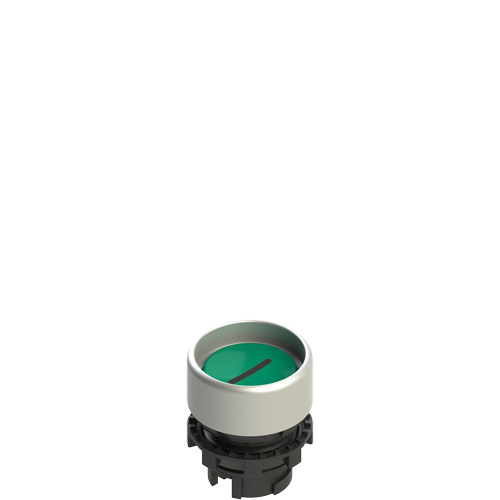 Pizzato E2 1PL2P429L2 Illuminated green booted pushbutton with marking Turkey