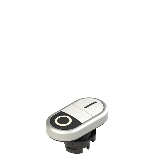 Pizzato E2 1PDRL9AAAA Double lower flush pushbutton, with marking Turkey