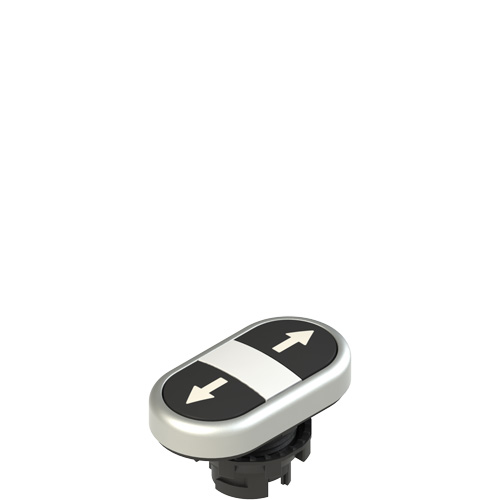 Pizzato E2 1PDRL9AAAB Double lower flush pushbutton, with marking Turkey