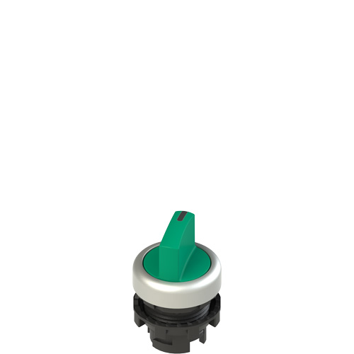 Pizzato E2 1SE12ECA49AB Short handle selector, 2 positions green with marking Turkey