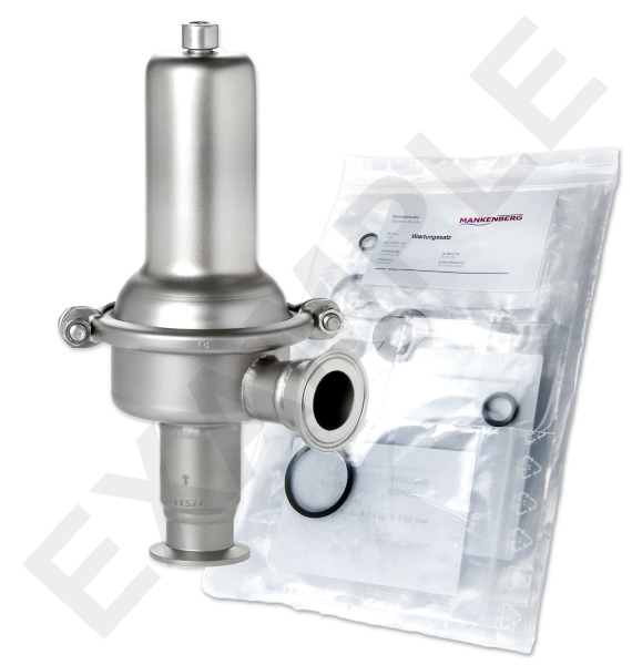Mankenberg 6404116UA-30 WS Maintenance Kit for DM 152 | DN 20 (3/4