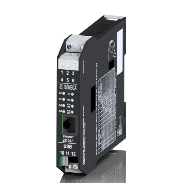 Seneca ZE-2AI (HW rev. A0/B0/C0) 2 CH Analogue input Modbus RTU - Modbus TCP-IP module Turkey