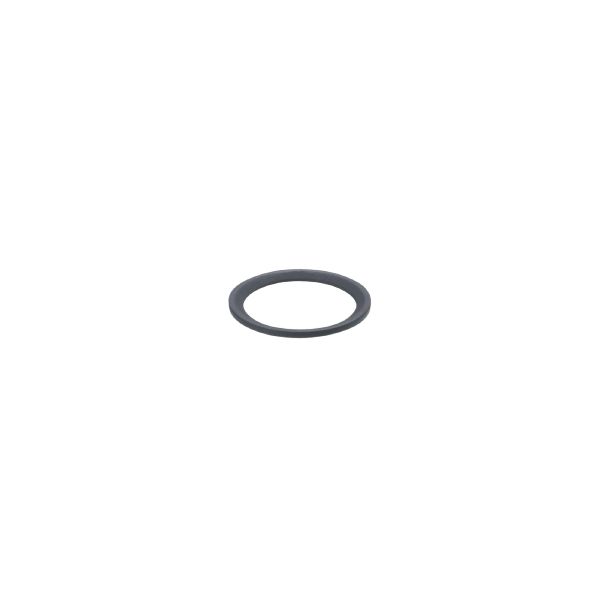 IFM SEAL RING FFKM G1/2 Gasket Turkey