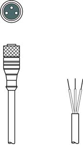 Leuze KD U-M8-3A-P1-100-DP Connection cable Turkey