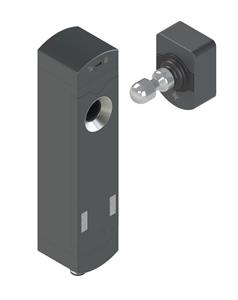 Leuze L250-P31SL-M12B8-UCA Safety locking device Turkey