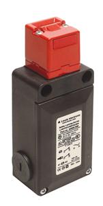 Leuze L100-P3C3-M20-MLM24 Safety locking device Turkey