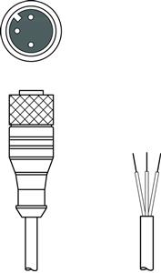 Leuze K-D M12A-3P-5m-PVC Turkey