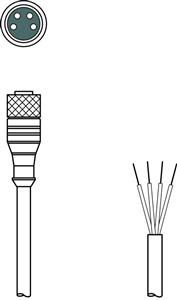 Leuze K-D M8A-4P-2m-PUR Connection cable Turkey