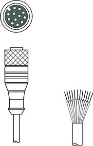 Leuze KD S-M12-CA-P1-020 Connection cable Turkey