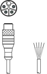 Leuze KD PL-M12-5A-P0-050 Connection cable Turkey