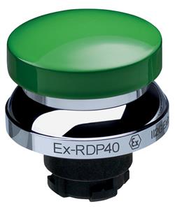 Schmersal EX-RDP40GN Turkey