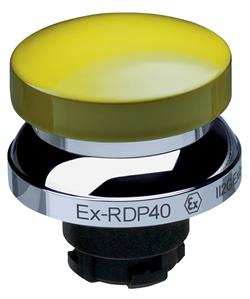 Schmersal EX-RDP40GB