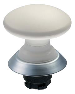 Schmersal NDP50WS
