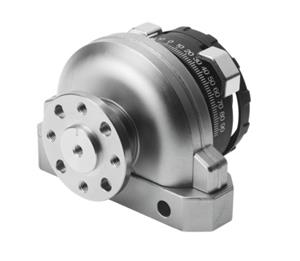 Festo DSRL-12-180-P-FW Semi-rotary drive Turkey