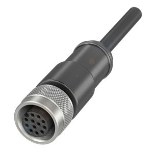 Balluff BCC M41C-0000-1A-169-PS0C25-020-C009 Single-ended cordsets Turkey