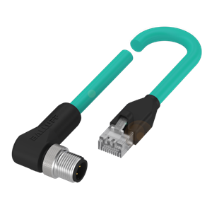Balluff BCC M424-E894-8G-672-ES64N9-300 Double-ended cordsets Turkey