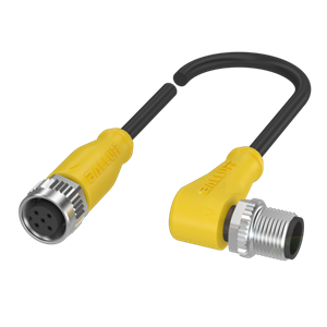 Balluff BCC M415-M424-3A-304-PX0434-200-C033 Double-ended cordsets Turkey