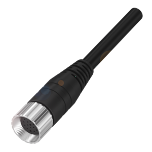 Balluff BCC M61L-0000-10-022-PX0LP4-100 Single-ended cordsets Turkey