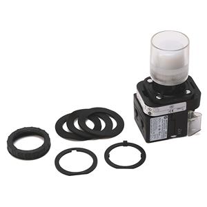 Allen Bradley 800H-QRAH2WD1Y 30mm Momentary Push Button 800H PB