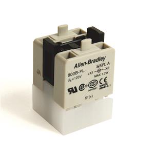 Allen Bradley 800B-PL Dummy Block