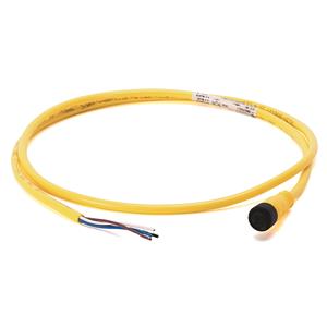 Allen Bradley 889D-F4AC-1 DC Micro Cable