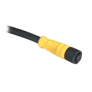 Allen Bradley 889D-F8AB-10 DC Micro Cable