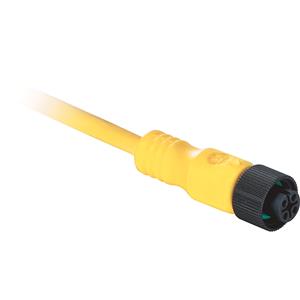 Allen Bradley 889D-F3JB-5 DC Micro Cable