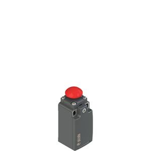 Pizzato FR 514-M2 Position switch with mushroom head plunger Turkey