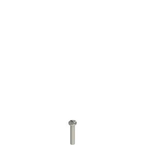 Pizzato VF VAM4X20BW-X Stainless steel security screws