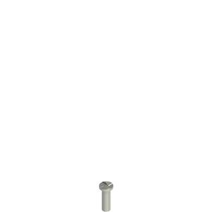 Pizzato VF VAM5X15BW-X Stainless steel security screws