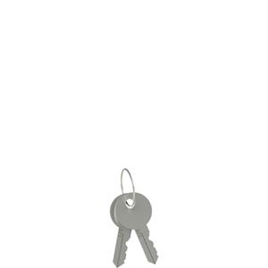 Pizzato VF KLA371 Unlocking key pair