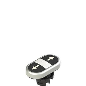 Pizzato E2 1PDRL9AAAB Double lower flush pushbutton, with marking Turkey